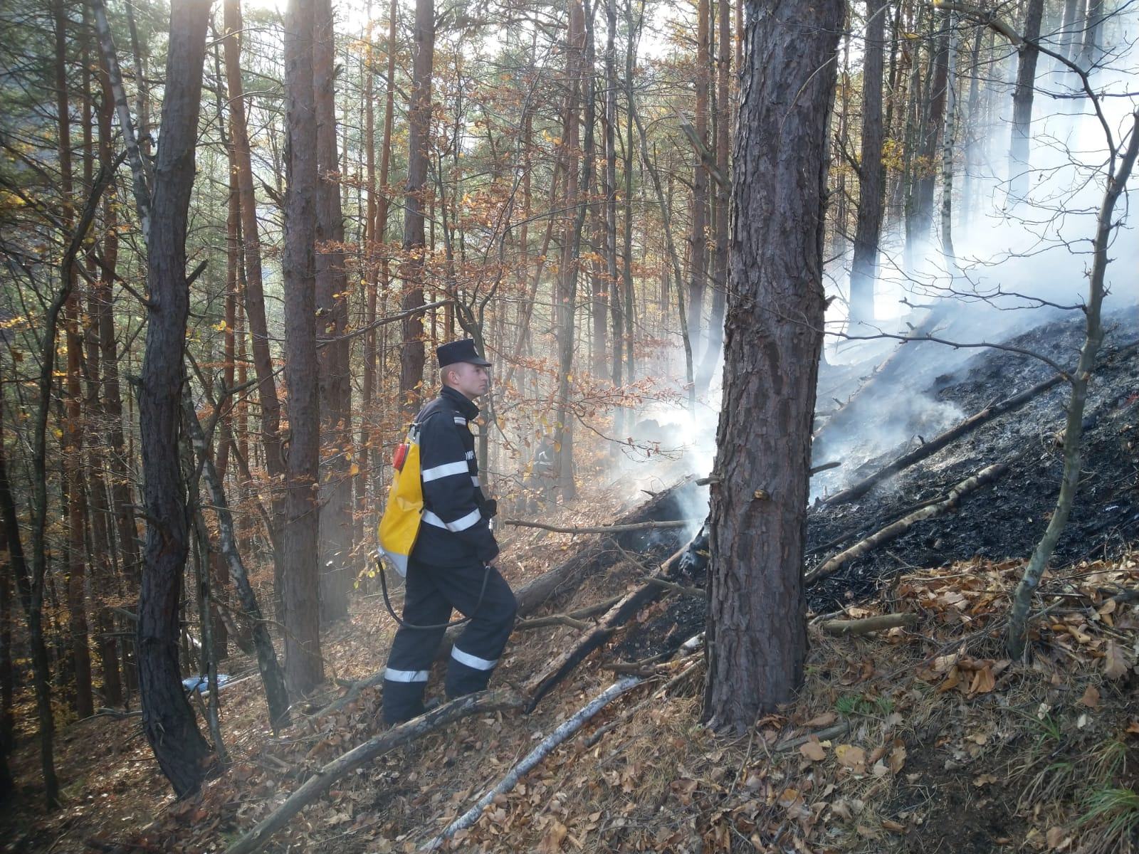Incendiu în zona Valea Morii - vârful Măgura