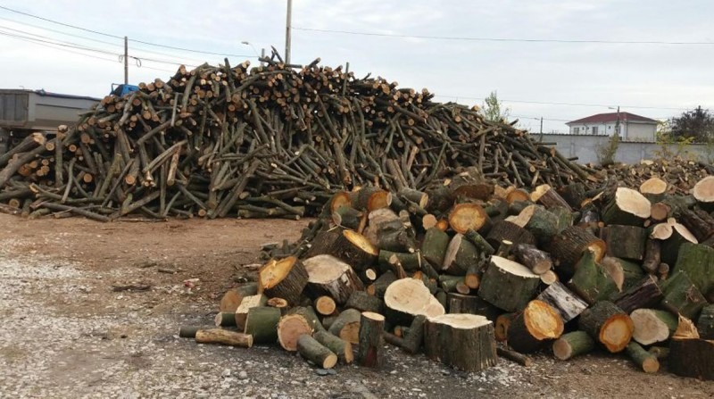 societate din dorohoi amendata pentru comert ilicit de lemne uSo